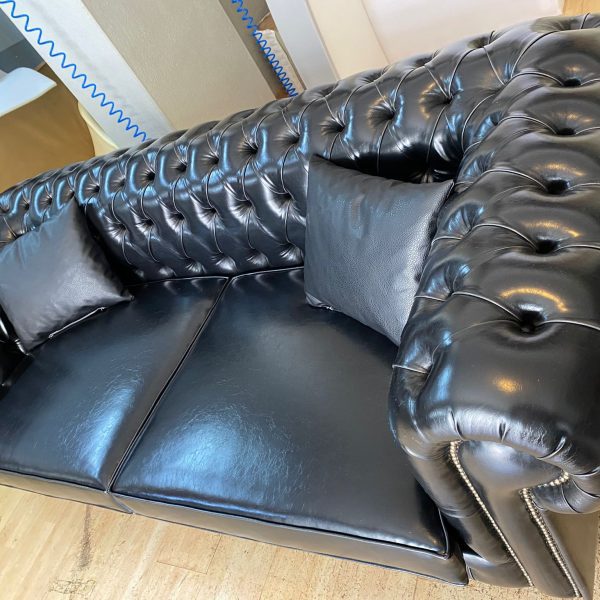 Chester_fullness_023